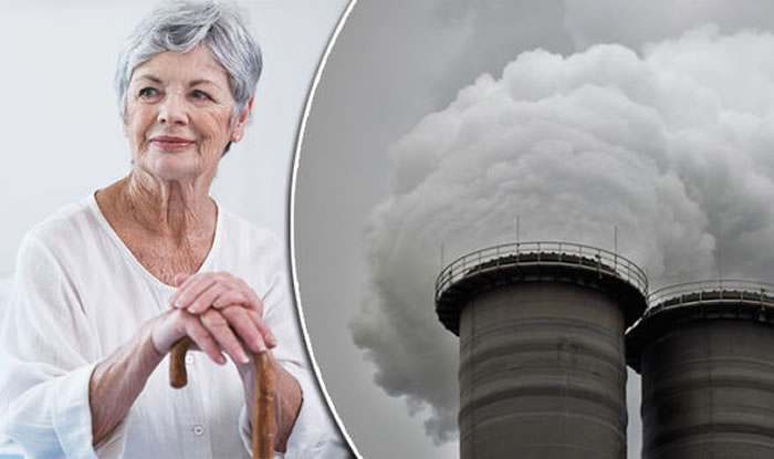 人类大脑组织中存在来源于空气污染的磁铁矿纳米颗粒