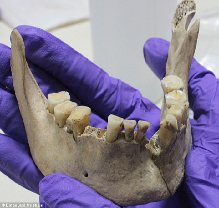 8600年前农产品已出现在巴尔干地区