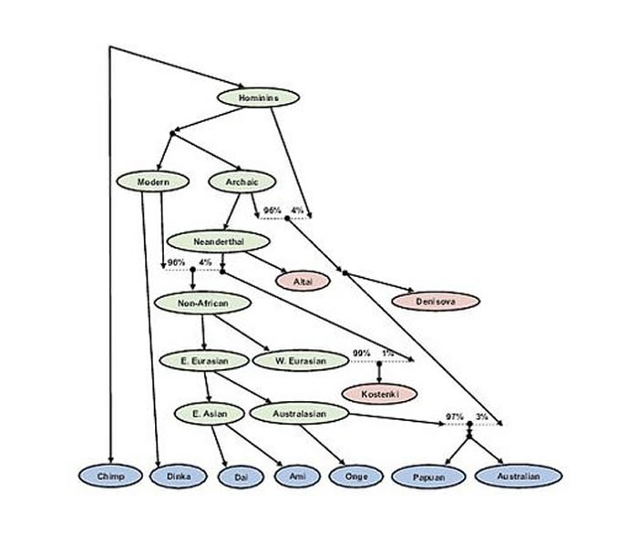 研究人员得出研究结论称，人类历史上只有一波离开非洲的迁徙，正是这一波迁徙最终形成了现在的全球人口分布。