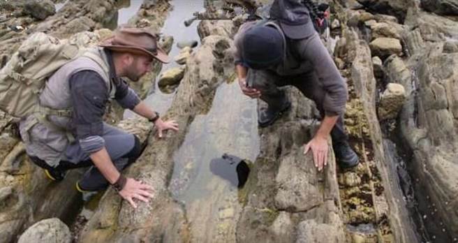 两名男子无意间在海岸边，发现一坨黑色不明物体。