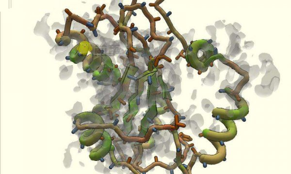 游戏玩家胜出：通过游戏绘制出更准确的蛋白质模型