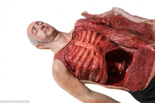 3D打印人体模型，将用于训练外科医生 [慎入]