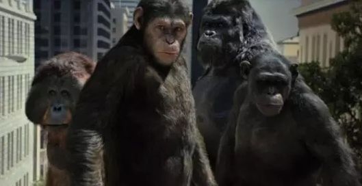 （图片来自网络）