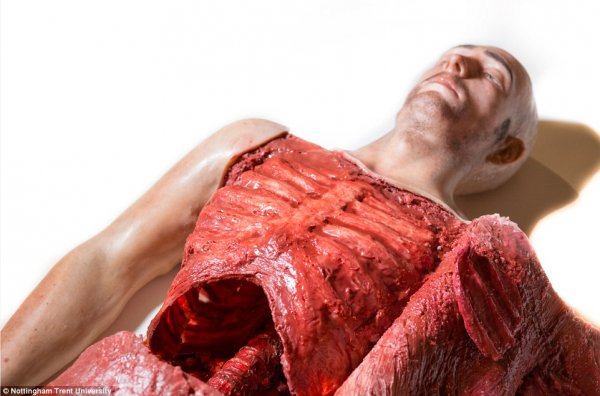 3D打印人体模型，将用于训练外科医生 [慎入]