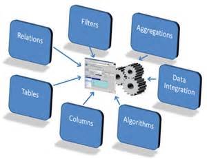 荧光蛋白技术再立新功：科学家们揭示记忆组织结构