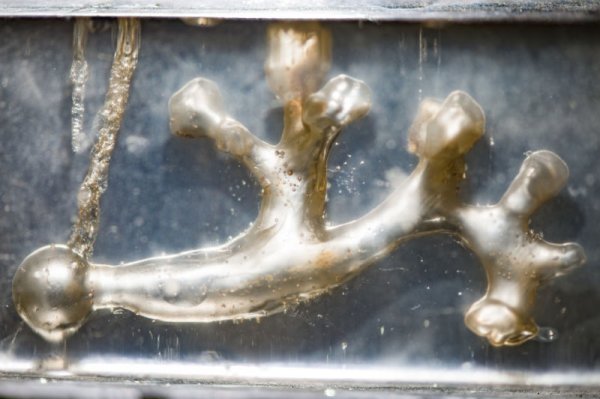 坐过山车可能有益身体健康，比如排石