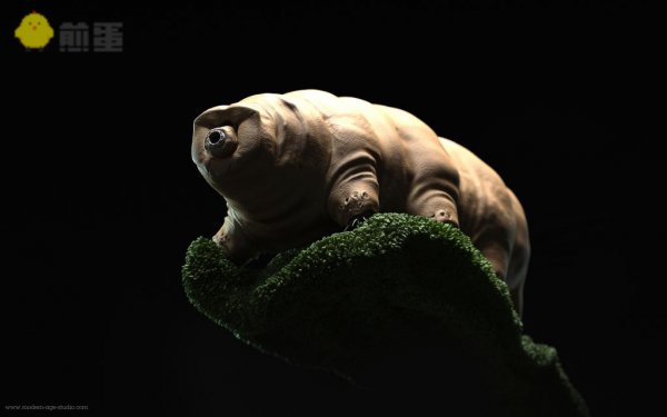 无敌是多么寂寞：水熊虫超强生命力之谜