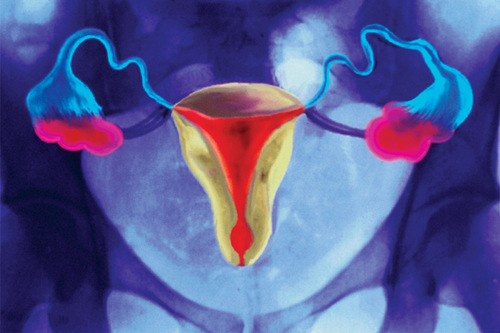 年轻的秘密？图片来源：BSIP VEM/Science Photo Library