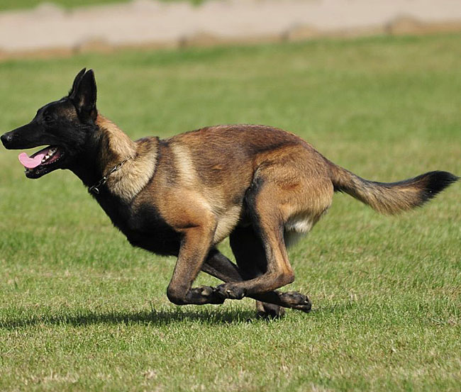 20160308141316_31958