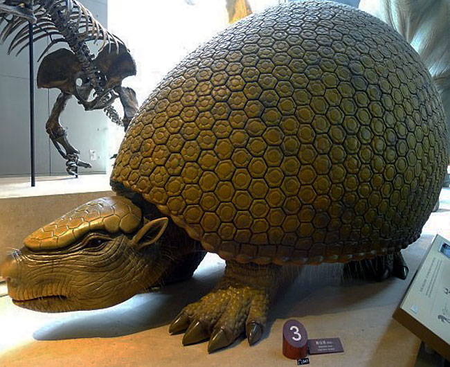 003d7KX0gy6SSVNWPbh27&690