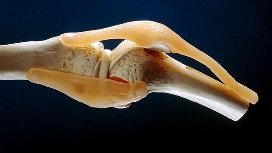 图片来源：Mike Devlin/Science Source