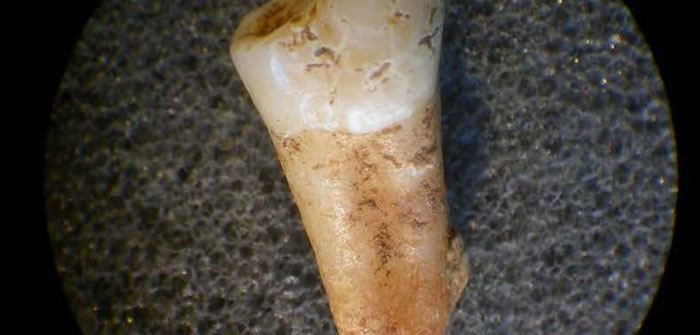 青铜时代居住在不列颠和爱尔兰两座岛屿上的居民已经能够比较频繁地迁徙