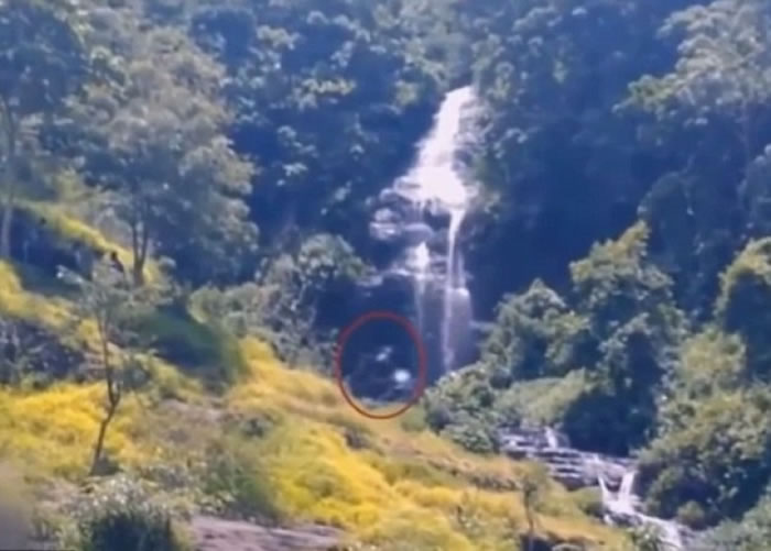 印尼山区拍摄到一只疑似大脚怪的生物