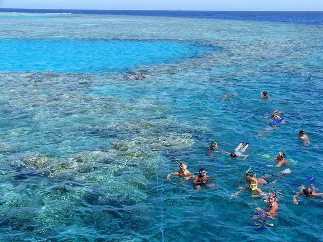 红海的含盐量高，气温高且海水蒸发量大。