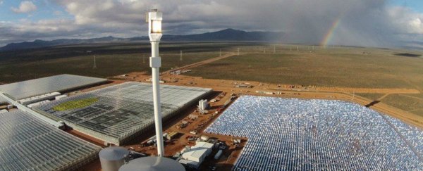 疯狂农场：第一个仅利用阳光和海水种蔬菜的农场