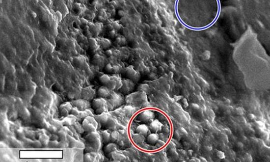 该项目在2016年早些时候的月球行星科学大会上做过展示，它获得了美国航天局的资助