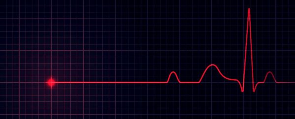 那么，我们的第一声心跳出现在何时