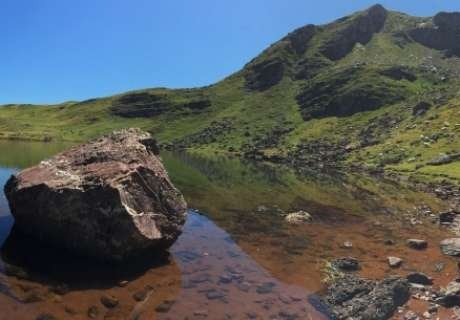 学界首次证实：全球变暖导致蛤蟆灭绝