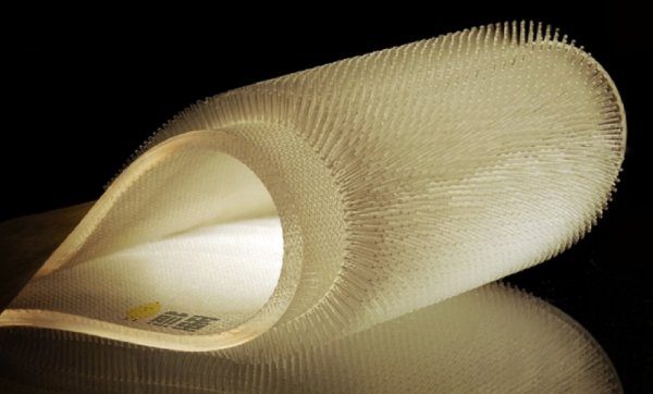 海狸的馈赠：裹着一层皮毛的新型潜水衣