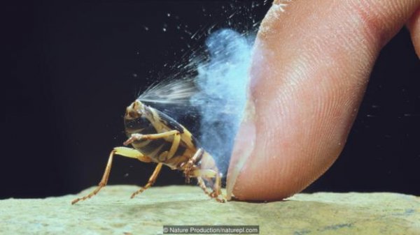 进化论能进化出“龙”吗？