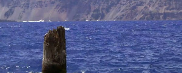 这截木头在湖中垂直漂浮了120年