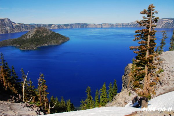 这截木头在湖中垂直漂浮了120年