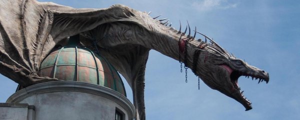 进化论能进化出“龙”吗？