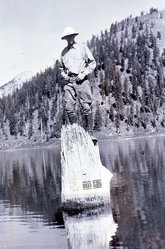 这截木头在湖中垂直漂浮了120年