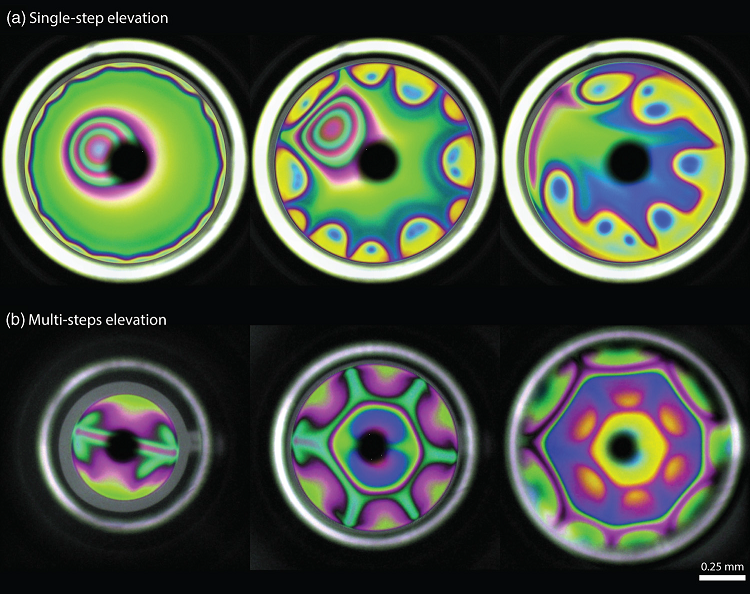 Bhamla， M. Saad， and Gerald G. Fuller. 