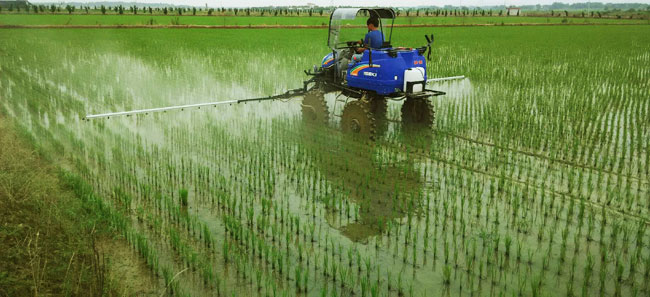 13e1fd981b5bfbe0b5e44e67f1a9e6f7