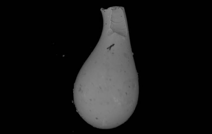 这种微玻璃陨石应该是彗星撞击地球后熔化的残骸飞溅到半空中凝固而形成的