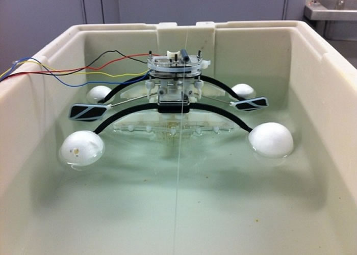 机器人能够借“进食”水中微生物产生能量。