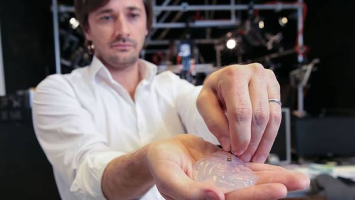 科学家把一具脑部植入装置放在矽胶模型上。