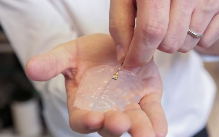 这具装置可将思想转变为脊柱的电子讯号。