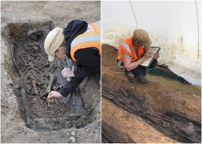 英国出土盎格鲁撒克逊人骸骨。