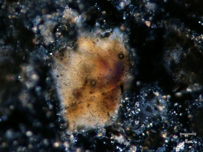 研究报告的共同作者，德克萨斯大学奥斯汀分校的海洋地球物理学家肖恩•古利克指出，小行星可能撞出了一个厚达整个地壳的洞，有近30公里深，80到100公里