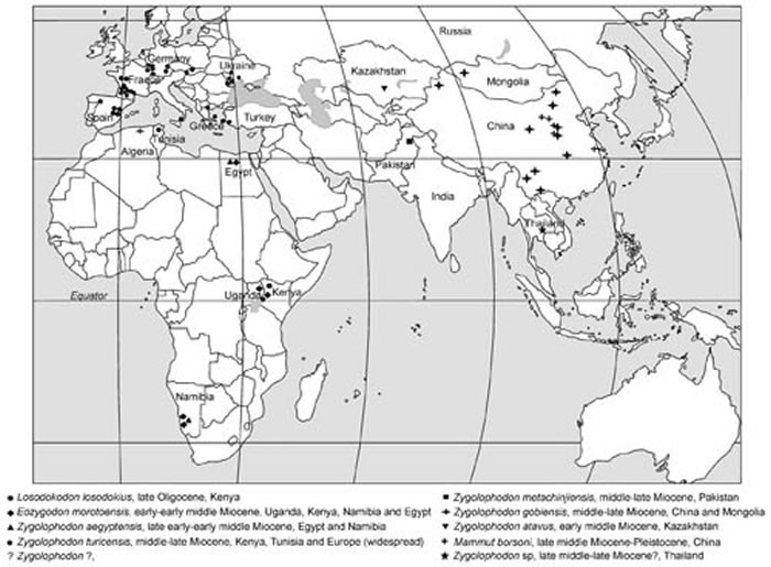 轭齿象在旧大陆的分布 （邓涛供图）