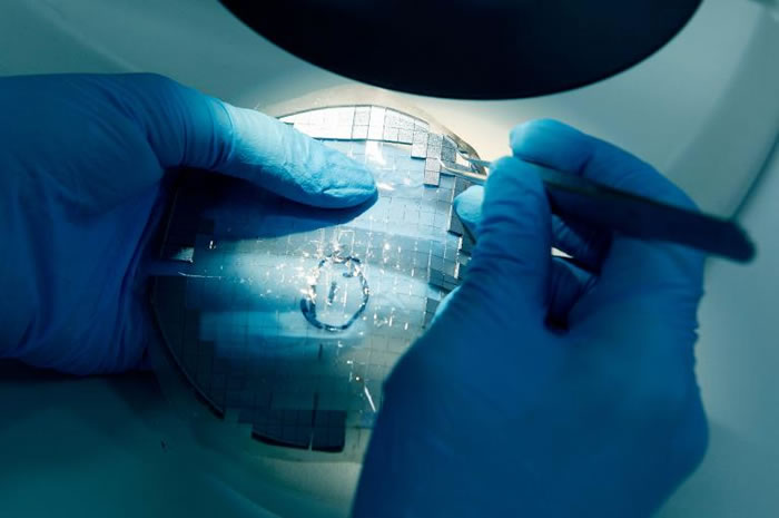 肯道尔正在检查纳米贴。这些矽晶片上带有许多沾附疫苗的细小针刺。 PHOTOGRAPH BY JULIAN KINGMA， ROLEX AWARDS