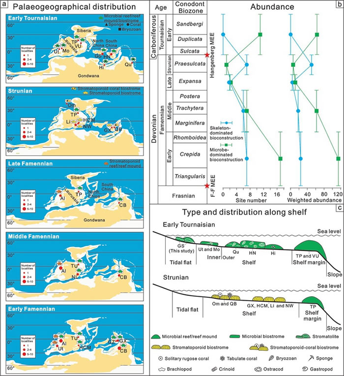 泥盆纪法门期-石炭纪杜内早期骨架生物为主和微生物为主的生物建造的类型（a）、丰度（b）和古地理分布（a， c）图