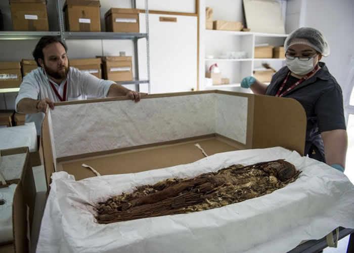 研究人员小心翼翼打开装有木乃伊的箱子。