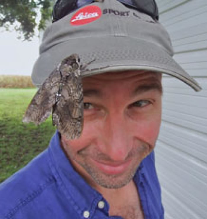 查普曼（图）认为人们忽略了昆虫的迁徙行为。