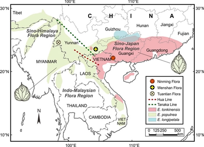 现生马蹄荷的与化石点的分布格局