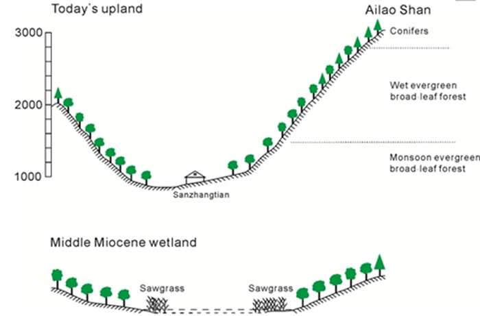 哀牢山南麓中中新世湿地景观与现代山地景观的对比