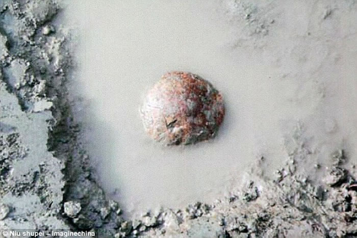 许昌人头骨顶面观及其与直立人、早期现代人对比（吴秀杰供图）