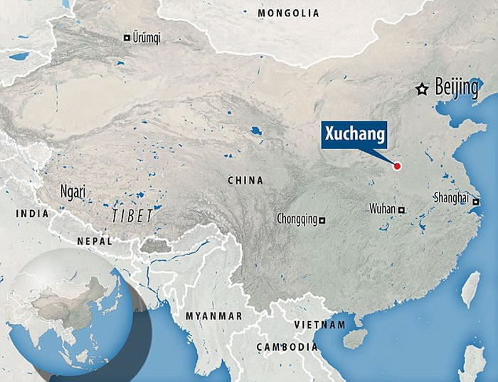 许昌人头骨顶面观及其与直立人、早期现代人对比（吴秀杰供图）