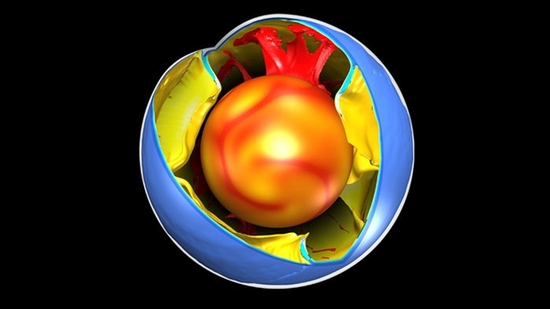 模型显示洋壳板块俯冲进入地心。图片来源：Fabio Crameri