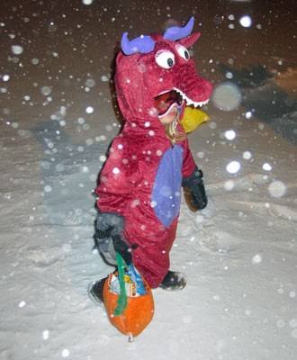 每年都要严阵以待1000多头北极熊的小镇