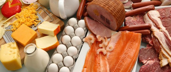 高蛋白饮食才是减肥的终极奥义