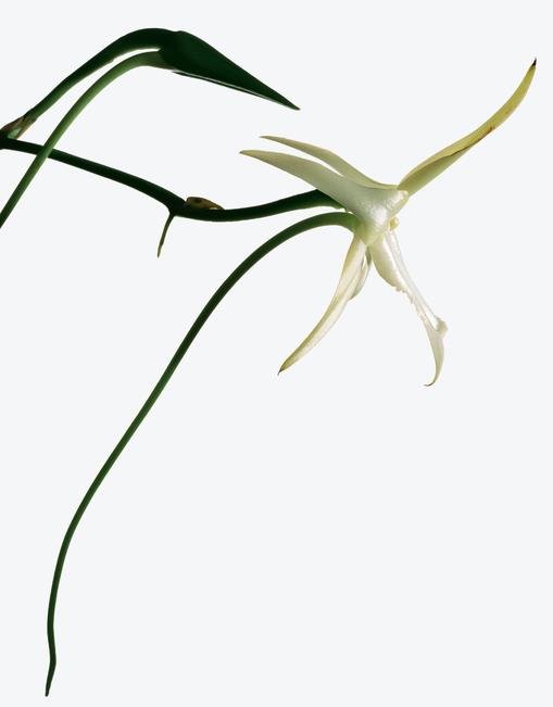 9幅图片带你领略进化的力量