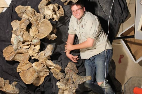 澳洲最不可怕的动物要数恐龙了